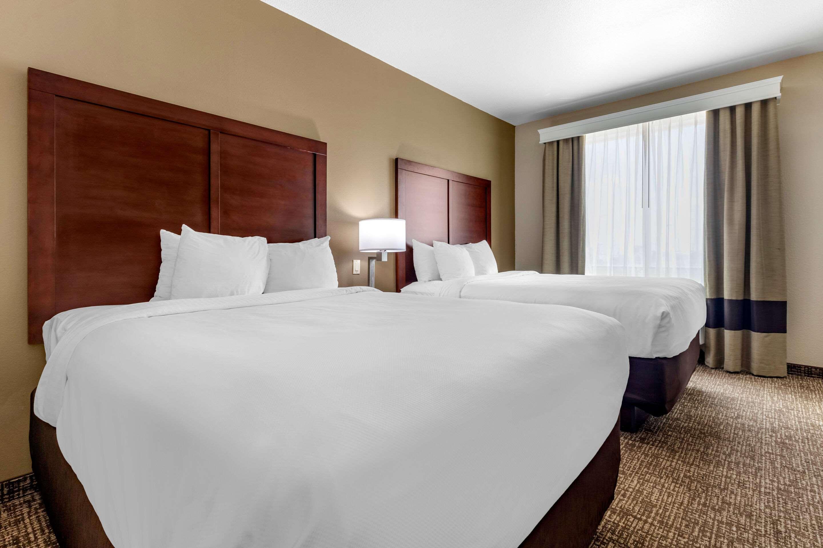 Comfort Inn & Suites Near Lake Lewisville Corinth Kültér fotó